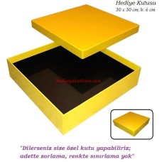HEDİYE KUTUSU (SA003)