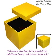 HEDİYE KUTUSU (SA006)