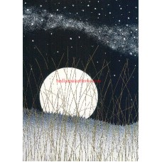 UNICEF TEBRİK KARTI, UNICEF GREETING CARD (UNF9006N)