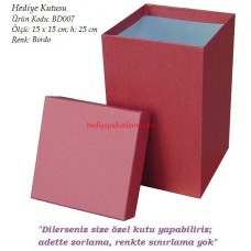 HEDİYE KUTUSU (BD007)