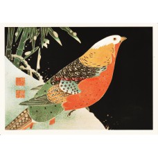 UNICEF TEBRİK KARTI, UNICEF GREETING CARD (UNF0145N)