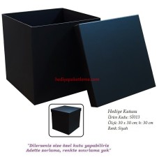 HEDİYE KUTUSU (Sİ013)