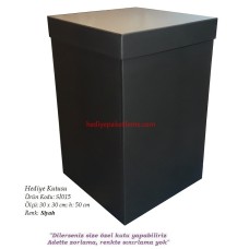 HEDİYE KUTUSU (Sİ015) SAKLAMA KUTUSU