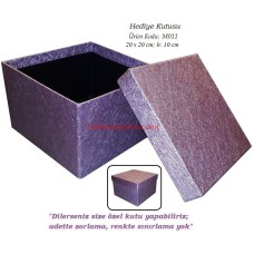 HEDİYE KUTUSU (M011)