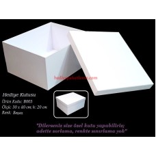 HEDİYE KUTUSU (B003)