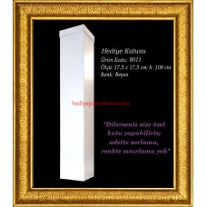 HEDİYE KUTUSU (B011)