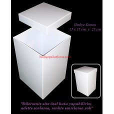 HEDİYE KUTUSU (B033)