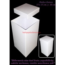HEDİYE KUTUSU (B034)