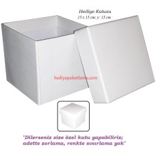 HEDİYE KUTUSU (B017)