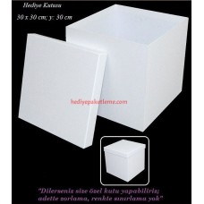 HEDİYE KUTUSU (B020)