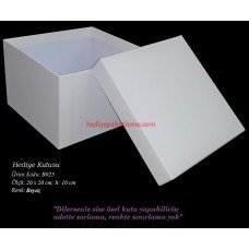 HEDİYE KUTUSU (B025)