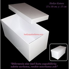 HEDİYE KUTUSU (B030)