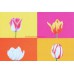 UNICEF TEBRİK KARTI, UNICEF GREETING CARD (UNF8450N)