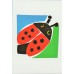 UNICEF TEBRİK KARTI, UNICEF GREETING CARD (UNF8450N)