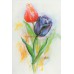UNICEF TEBRİK KARTI, UNICEF GREETING CARD (UNF7450N)