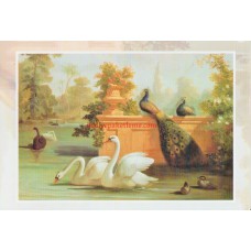 UNICEF TEBRİK KARTI, UNICEF GREETING CARD (UNF7450N)