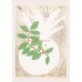 UNICEF TEBRİK KARTI, UNICEF GREETING CARD (UNF0560N)