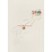 UNICEF TEBRİK KARTI, UNICEF GREETING CARD (UNF0560N)