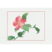 UNICEF TEBRİK KARTI, UNICEF GREETING CARD (UNF9560N)