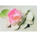 UNICEF TEBRİK KARTI, UNICEF GREETING CARD (UNF5560N)