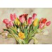 UNICEF TEBRİK KARTI, UNICEF GREETING CARD (UNF5560N)
