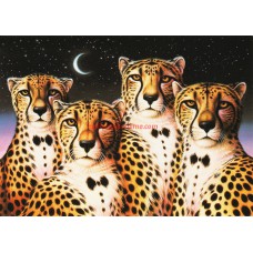 UNICEF TEBRİK KARTI, UNICEF GREETING CARD (UNF5560N)