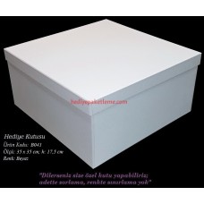 HEDİYE KUTUSU (B041)