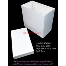 HEDİYE KUTUSU (B042)