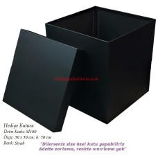 HEDİYE KUTUSU (Sİ100)