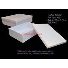 HEDİYE KUTUSU (B022)