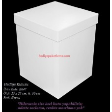 HEDİYE KUTUSU (B047)